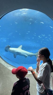 Patricia and Phillip Frost Art Museum by null