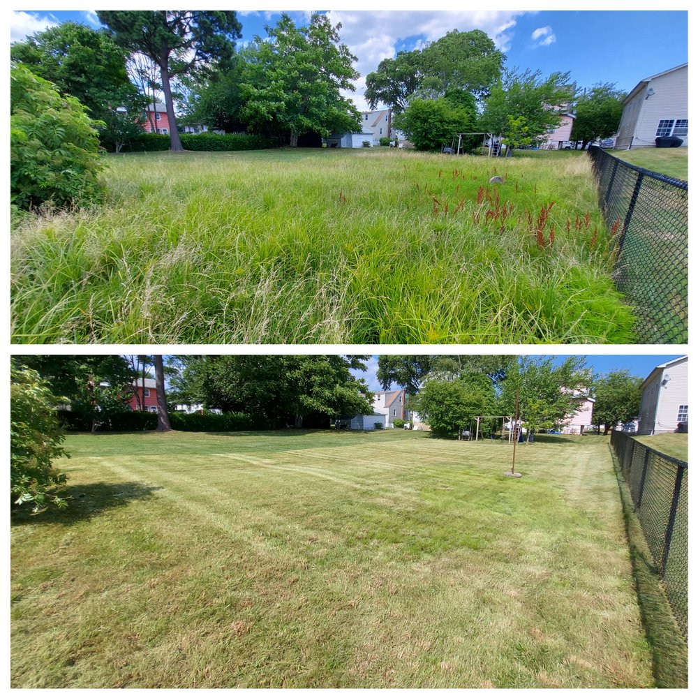 HOLIDAY YARDS Updated May 2024 Request a Quote 325 Cottage St