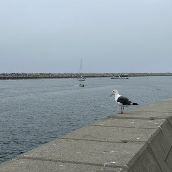 Redondo Beach - Beaches Near Me - Redondo Beach, California Redondo Beach - Beaches Near Me - Redondo Beach, California
