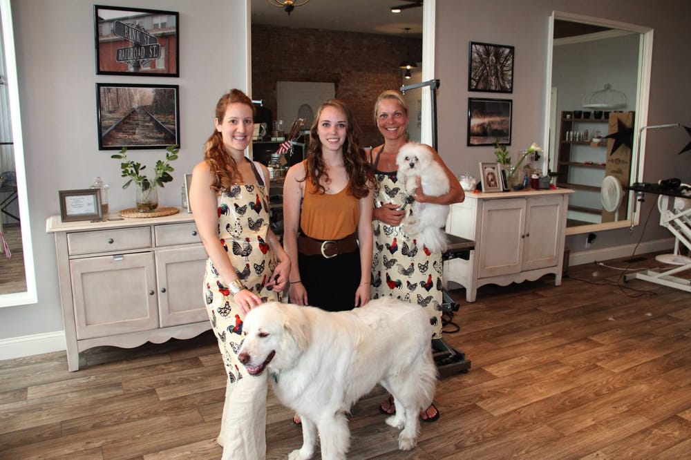 THE DOWNTOWN DOG Updated September 2024 11 Reviews 120 Housatonic