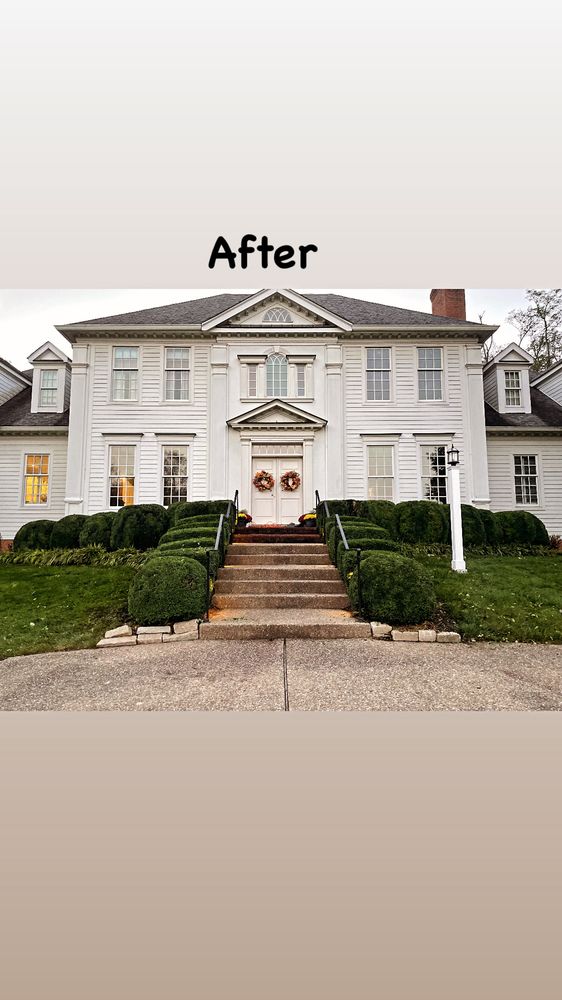 Rich Leaf Yard Cleaning and Landscaping - tree service in Lexington, KY