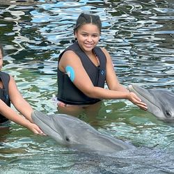 Dolphins Plus Marine Mammal Responder