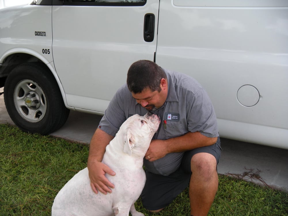 APPLIANCE MEDIC Updated October 2024 226 Homestead Rd S, Lehigh