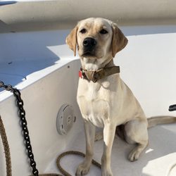First Landing Charters