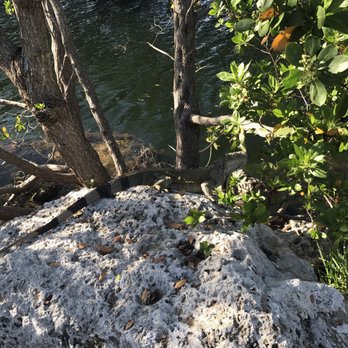 Hampton Inn Key Largo, FL - Hotels Near Me - Key Largo, Florida