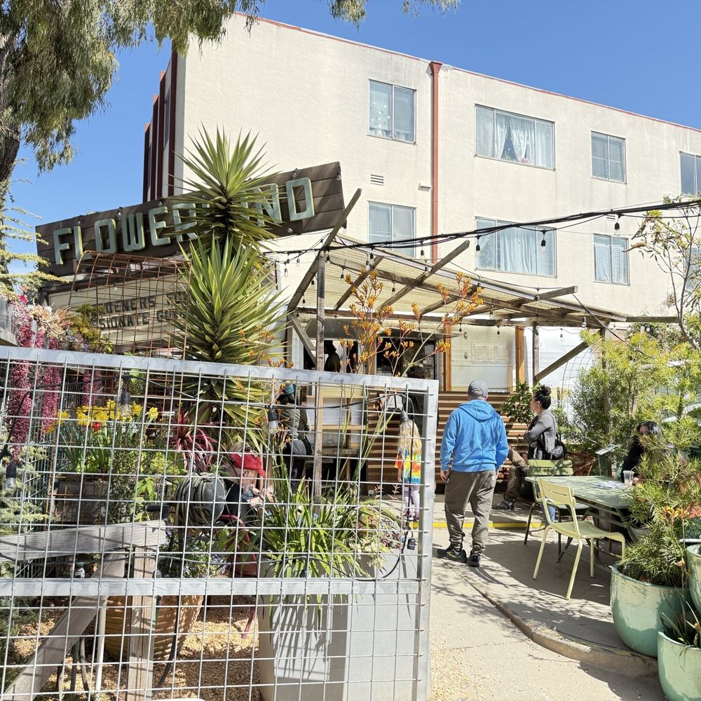 TOP 10 BEST Highwire Flowerland in Albany, CA - Updated 2026 - Yelp