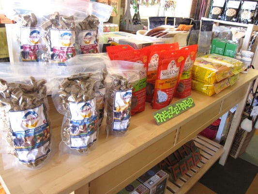 Canine To Five by null