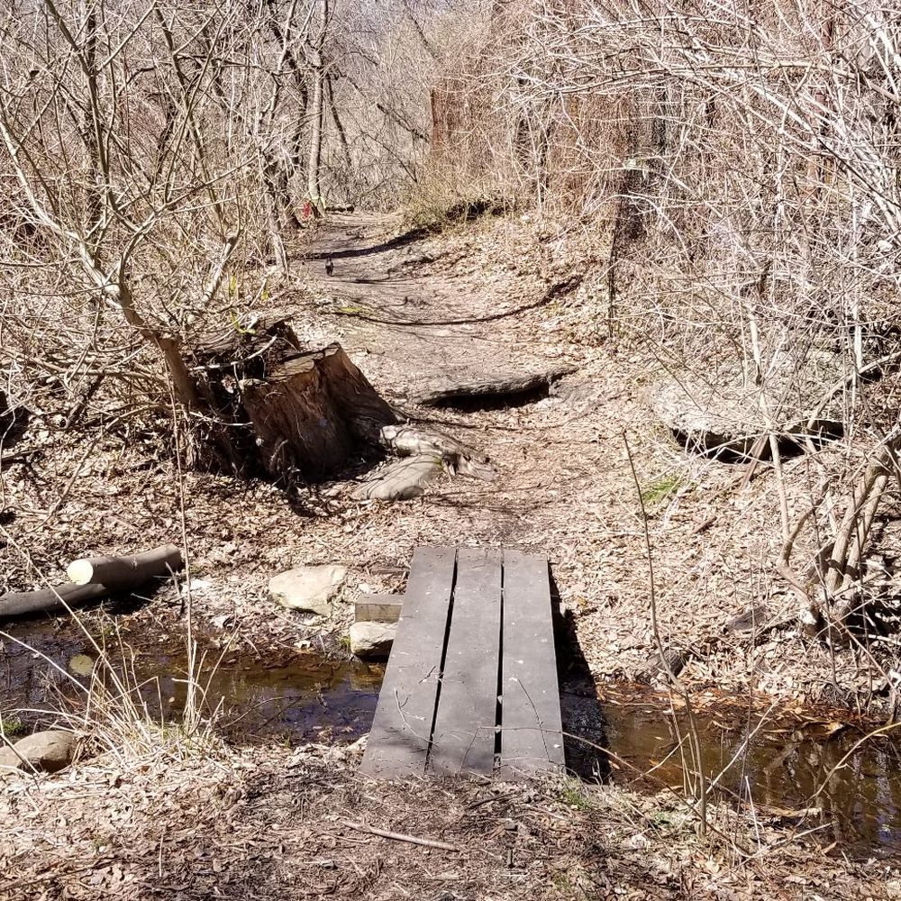 Van Cortlandt Park  - Little bridge - Parks Near Me - Bronx, New York