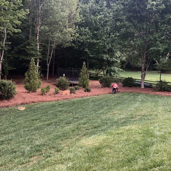 Pine Straw - Good color straw - Nurseries & Gardening Near Me - Smyrna, Georgia Pine Straw - Good color straw - Nurseries & Gardening Near Me - Smyrna, Georgia