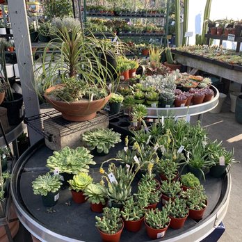 East Bay Nursery - Nurseries & Gardening Near Me - Berkeley, California East Bay Nursery - Nurseries & Gardening Near Me - Berkeley, California