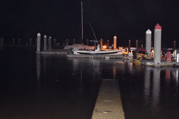 Amelia Island by null