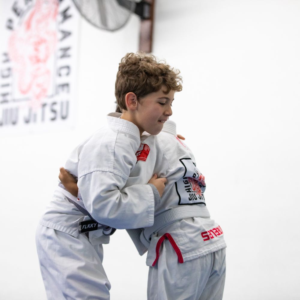 Maglietta Jiu Jitsu 1994 - Regalo Perfetto Per Appassionati Di Arti Marziali Brasiliane | BJJ