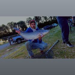 Wiggle Waggles Bait n Tackle