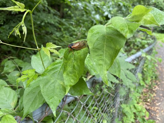 Ken-Gar Palisades Park