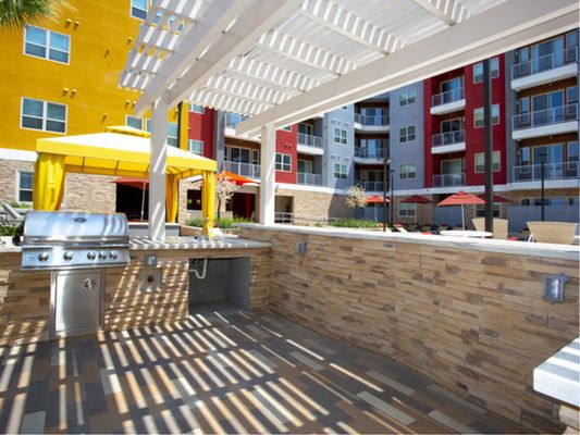 Green Leaf Lotus by null