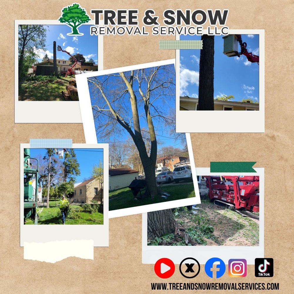 Tree & Snow Removal Service - tree service in Menomonee Falls, WI