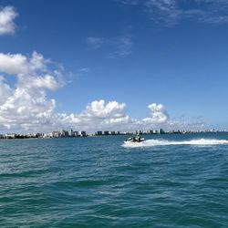 Ocean Pro Adventure