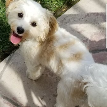 FURology Pet SPaw - Pet Groomers Near Me - Santee, California FURology Pet SPaw - Pet Groomers Near Me - Santee, California