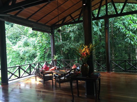 Borneo Rainforest Lodge by null