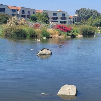 Webb Park - Parks Near Me - Rancho Bernardo, California