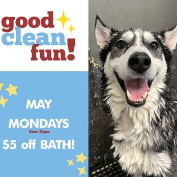 Camp Bow Wow - May Monday's baths - Pet Boarding Near Me - Mesa, Arizona Camp Bow Wow - May Monday's baths - Pet Boarding Near Me - Mesa, Arizona