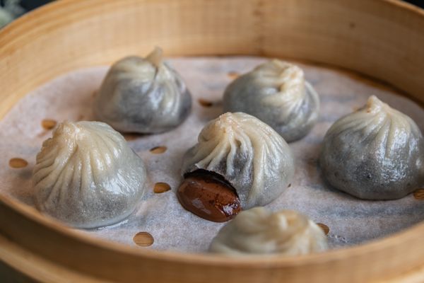 Serious Dumpling by null