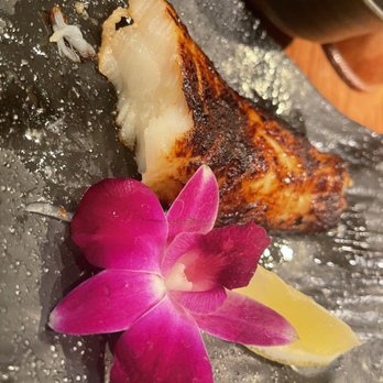 Tei Tei Robata Bar - Miso Seabass - Japanese Near Me - Dallas, Texas Tei Tei Robata Bar - Miso Seabass - Japanese Near Me - Dallas, Texas