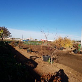 Rhibafarms - Specialty Food Near Me - San Tan Valley, Arizona