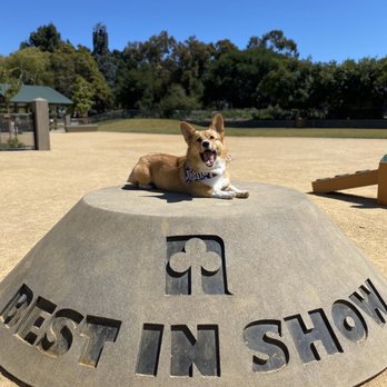 Newbark Dog Park - Dog Parks Near Me - Newark, California Newbark Dog Park - Dog Parks Near Me - Newark, California