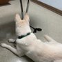 Photo of University Animal Hospital