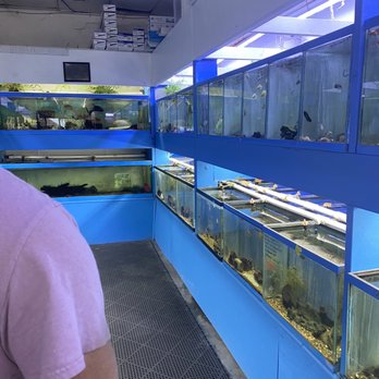 Aquatropics - Back of the store - Local Fish Stores Near Me - Gainesville, Florida