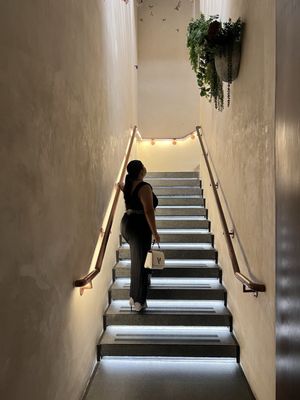 Maíz y Agave by null