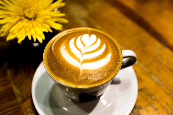 Caffe Italia by null