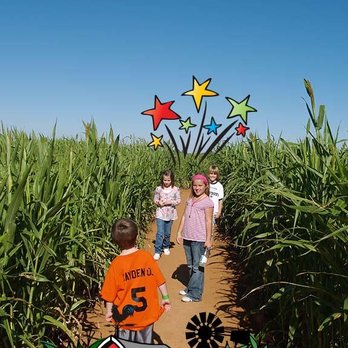 Fiddlesticks Farms - Attraction Farms Near Me - Midland, Texas Fiddlesticks Farms - Attraction Farms Near Me - Midland, Texas