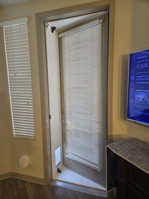 in and out pet door