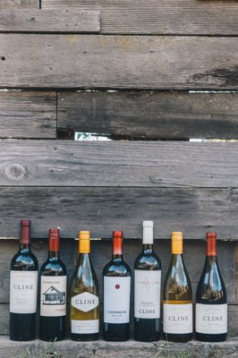 Cline Family Cellars by null