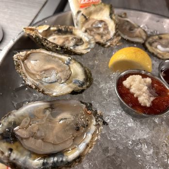 Paddlefish - Oysters - Seafood Near Me - Orlando, Florida Paddlefish - Oysters - Seafood Near Me - Orlando, Florida