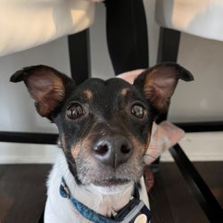 Anderson Humane Giftly Beautiful Gift Card Alternative