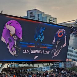 Minnesota Vikings