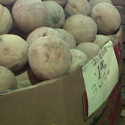 Tazah Farmer's Market - Cantaloupes - 3/$3, smoothies anyone??