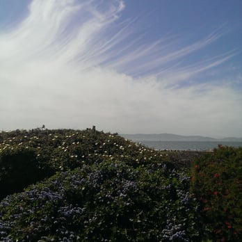 Shoreline Park - Nice scenery of the bay - Parks Near Me - Alameda, California Shoreline Park - Nice scenery of the bay - Parks Near Me - Alameda, California
