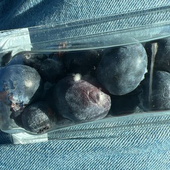 Starbucks - Mold blueberries - Coffee & Tea Near Me - South Easton, Massachusetts Starbucks - Mold blueberries - Coffee & Tea Near Me - South Easton, Massachusetts