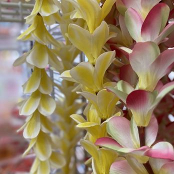 Crafts Way - Flowers & Gifts Near Me - Aiea, Hawaii