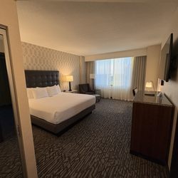 Drury Plaza Hotel Dallas Arlington - King suite... bedroom in main space
