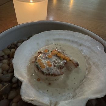 Heritage - Live Scallop in She'll - Modern European Near Me - Long Beach, California