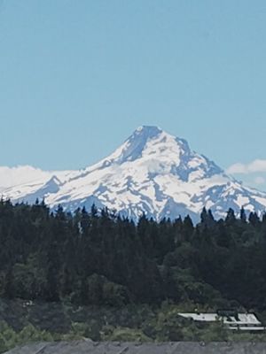 Mt Hood by null