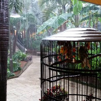 Jerry's Cafe - Breakfast & Brunch Near Me - Sanibel, Florida