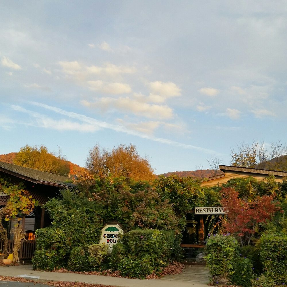 Garden Deli Restaurant - Comfortable dining areas inside and out. - Delis Near Me - Burnsville, North Carolina