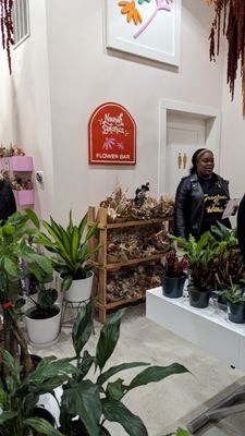 Nourish Botanica by null