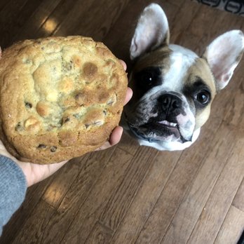 Jack Eats - Ginormous fatty mcfatfat cookie - Bakeries Near Me Jack Eats - Ginormous fatty mcfatfat cookie - Bakeries Near Me
